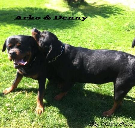 Arko - Roccia Nera